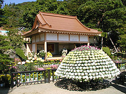 日本最大菊の祭典 二本松の菊人形