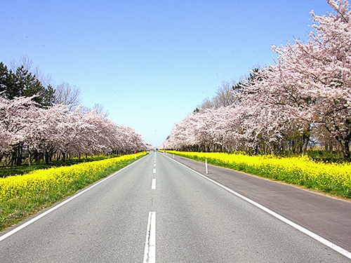 大潟村