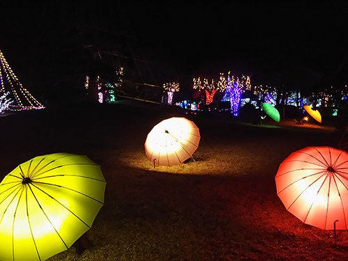 花の都公園