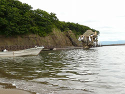 江差かもめ島