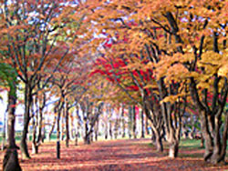 函館見晴公園