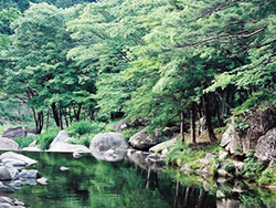 不動尊公園キャンプ場