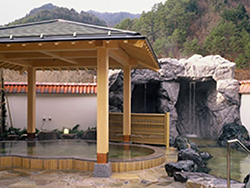 四十八滝温泉 しぶきの湯 遊湯館
