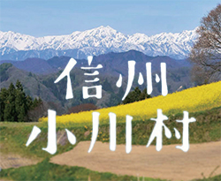 信州 小川村