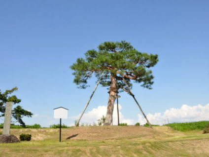中山町