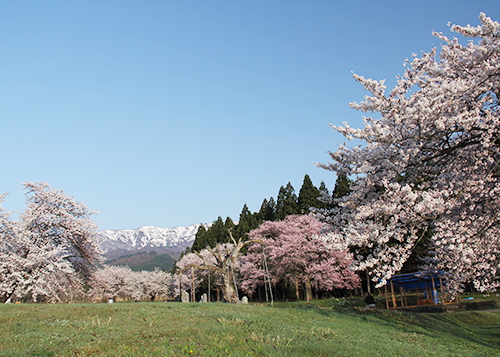 山形県置賜総合支庁 観光振興室