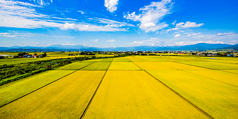 湯川村