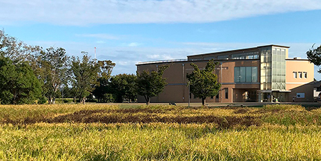 静岡市立登呂博物館