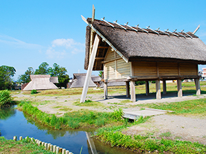 静岡市立登呂博物館