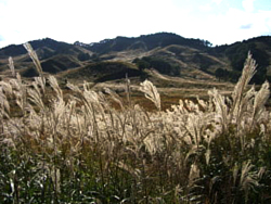 神河町