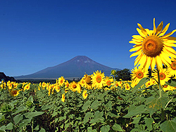 花の都公園