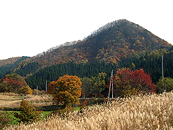上山市観光課