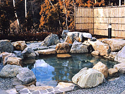 昭和温泉 昭和の湯