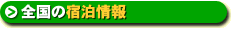 宿泊情報